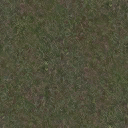 AET250_011_a_l.png