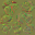 AET250_205_n_l.png