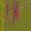 AET260_037_n_l.png