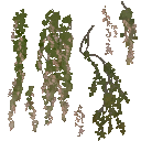 AET260_045_a_l.png
