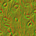 AET260_052_n_l.png