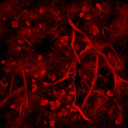 AET260_349_3m_l.png