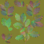 AET260_355_n_l.png