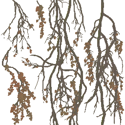 AET260_624_a_l.png