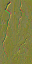 AET270_464_n_l.png