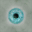 AET301_020_a_l.png
