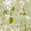 AET301_237_n_l.png