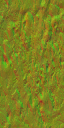 AET400_013_n_l.png