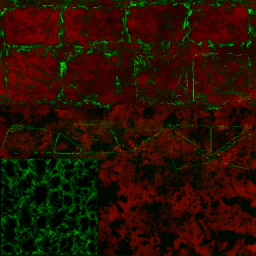 AET406_041_3m_l.png