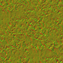 AET410_242_n_l.png