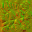 AET420_604_n_l.png