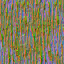 AET430_068_n_l.png