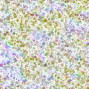 AET440_022_n_l.png