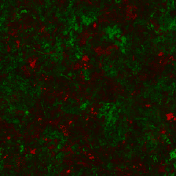 AET440_065_3m_l.png