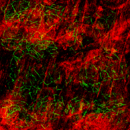 AET441_021_3m_l.png