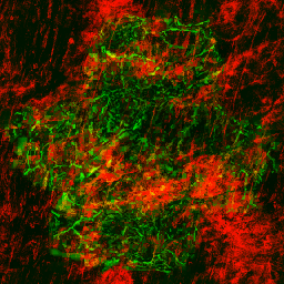 AET441_024_3m_l.png