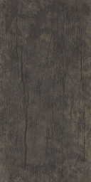AET441_073_a_l.png