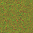 AET441_113_n_l.png