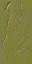 AET443_177_n_l.png