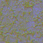 AET443_273_n_l.png