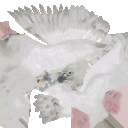 AET464_906_a_l.png