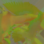 AET464_906_n_l.png