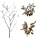 AET490_000_a_l.png