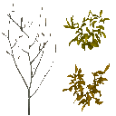 AET490_010_a_l.png