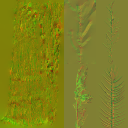 AET490_050_n_l.png