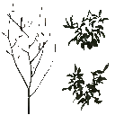 AET490_070_a_l.png