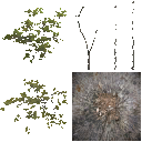 AET490_120_a_l.png