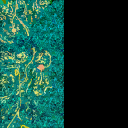 AET500_801_3m_l.png