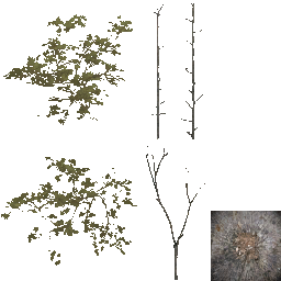 AET801_015_a_l.png