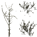 AET801_060_a_l.png