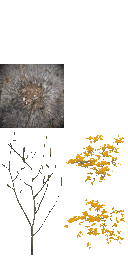 AET801_090_a_l.png