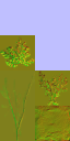 AET801_110_n_l.png