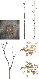AET801_335_a_l.png