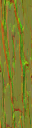 AET816_500_n_l.png