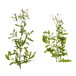 AET821_014_a_l.png