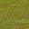 AET830_011_n_l.png