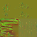 AET995_080_n_l.png