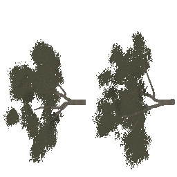 AET999_600_A_l.png