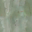 aet005_062_a_l.png
