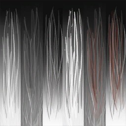 c2010_Fur_Color_a.jpg