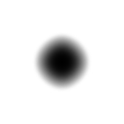 c2030_eye_1m.jpg