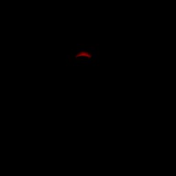 c2030_eyelid_3m.jpg