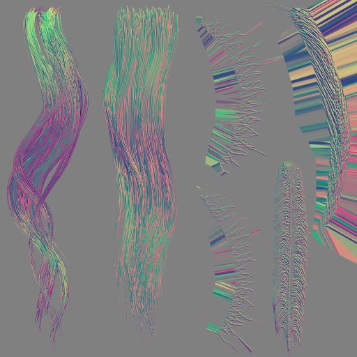 c2040_Hair_n.jpg