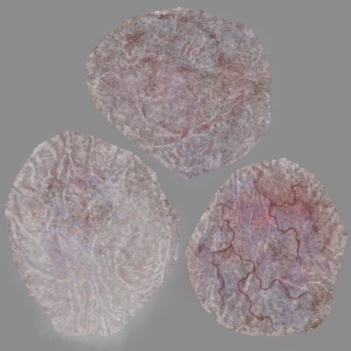c2041_meat_a.jpg