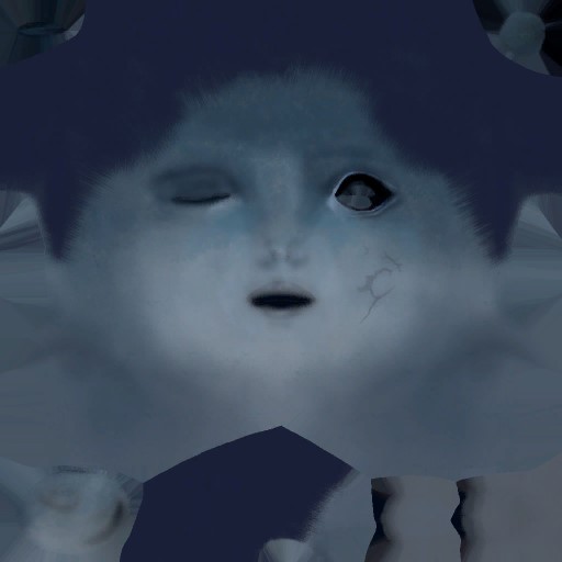 c2050_FC_Face_a.jpg