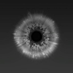 c2050_FC_Ghost_Eye_em.jpg